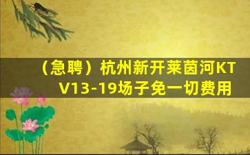 海口夜总会招聘